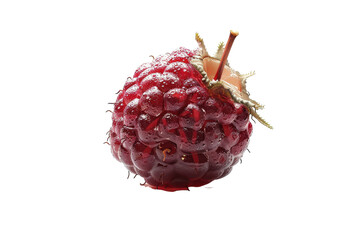 Thimbleberry Delight Isolated On Transparent Background