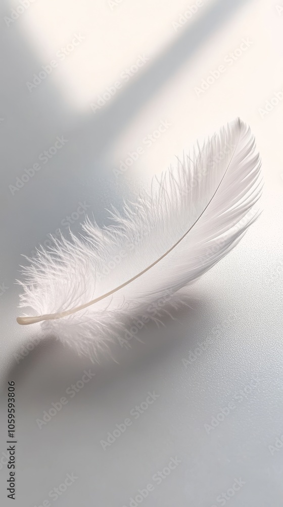 Poster delicate feather on smooth surface in soft morning light, minimalist photography for nature and text
