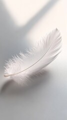 Obraz premium Delicate Feather on Smooth Surface in Soft Morning Light, Minimalist Photography for Nature and Texture Concepts Generative AI