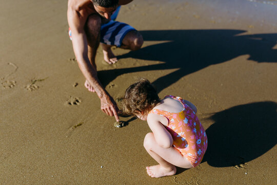 Father pointing out crab on the beach to young girl.