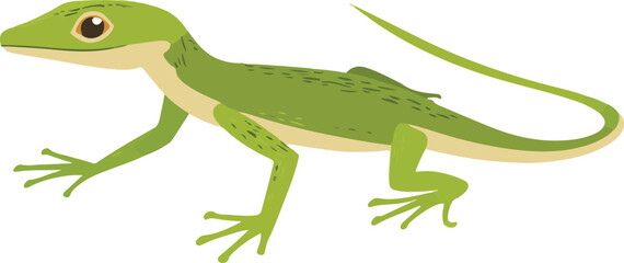 Fototapeta premium simple vector anole clipart