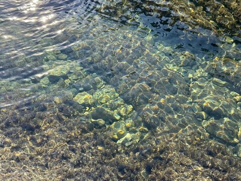 Sea pebbles stones algae in clear transparent water 