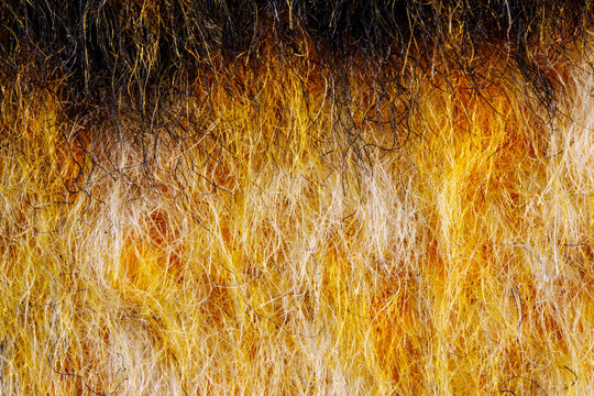 cashmere fiber cloth macro detail texture