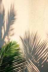 Obraz premium Vertical Sand beach texture background with palm leaves shadow,Coconut leaf Shadow on Brown Sandy Beach.
