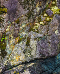 Surface Layer Of Rock