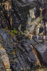 Surface Layer Of Rock