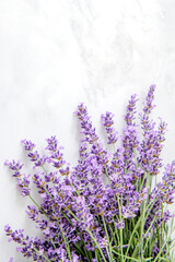 Fototapeta premium Vertical Sprigs of lavender flowers on a white background. Lavender blossoms. Bunch of lavender.