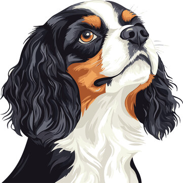 recommend clip art: simple vector Cavalier King Charles Spaniel clipart