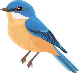 simple vector eastern bluebird clipart