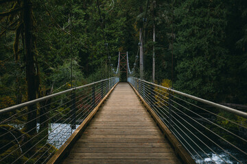 Fototapeta premium Empty bridge hovering over the Skokomish River along the Staircase Loop during the autumn season in the Pacific Northwest, Washington, United States.