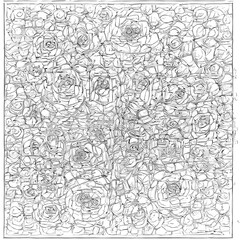 Fototapeta premium Coloring rose