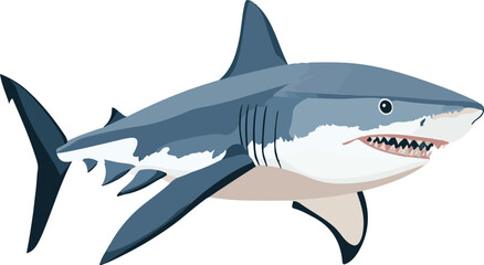 Fototapeta premium simple vector Galapagos shark clipart