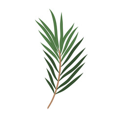 Fototapeta premium Botanical eco green leaves branch plant 