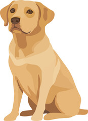 Obraz premium simple vector Labrador Retriever clipart