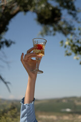 A young woman enjoying a sunny outdoor picnic surrounded by fresh tomatoes and herbs. She playfully...