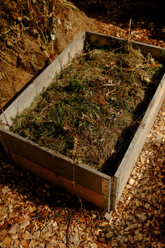Compost 