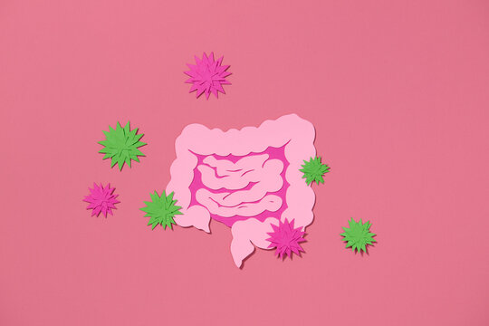 Colorful Paper Art Depicting Human Digestive System