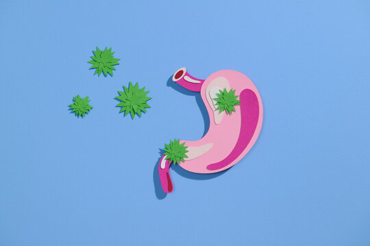 Paper cutout Of Stomach With Bacteria On Blue Background