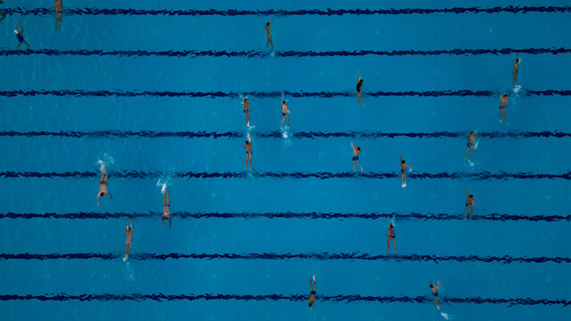 Swimmers in an Olympic Pool