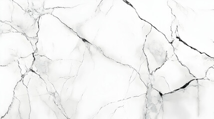 Fototapeta premium White Marble Texture Background with Black Veins Illustration
