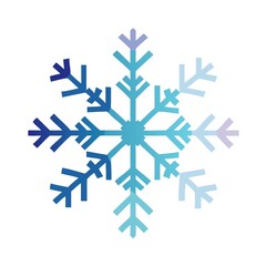 Fototapeta premium snowflakes