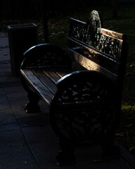 an old bench in the park and garbage can