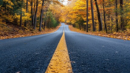 Obraz premium High angle view of a road through an autumn forest 