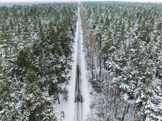 Snowy forest and frozen road in winter, Poland.