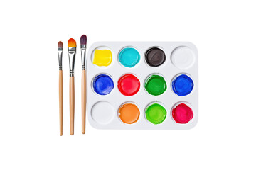 Vibrant Watercolor Palette and Brushes A Creative Artist's Essential Tools for Artistic Expression