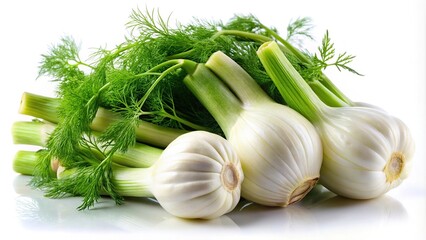 Fresh organic fennel bulbs with green leaves isolated on white background