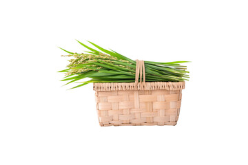 Fresh Harvest A Beautiful Display of Rice and Greenery in a Woven Basket
