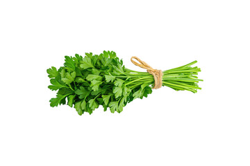 Fresh Parsley Bundle on Black Background for Culinary Uses and Recipes