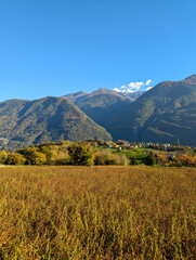 Fototapeta premium autumn in the mountains