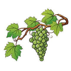 Obraz premium A vibrant cartoon illustration of a grapevine with green grapes and lush leaves on a branch