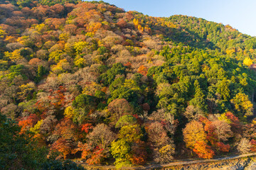 日本の風景・秋　京都嵯峨嵐山　紅葉の保津峡（嵐峡）