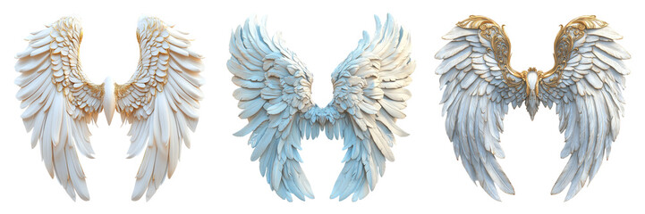 Elegant Angel Wings Isolated on Transparent Background
