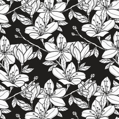 black and white pattern floral background  © vinzstudio