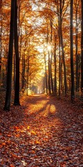 Obraz premium A serene autumn forest path lined with vibrant orange and golden leaves, illuminated by warm sunlight filtering through tall trees, creating a peaceful atmosphere.
