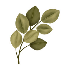 Green Leaf Illustration