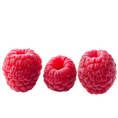Studio photopraph, still shot realistic fruit isolate on Transparent background, raspberry