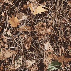 Autumn Fall Dry Leaves and Dry Grass Hunting Camouflage, Seamless Repeating Camo Pattern Texture	
