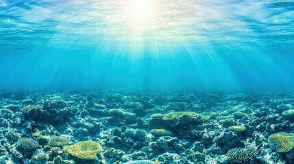 Beneath the waves, sunlight dances through clear water, revealing vibrant coral reefs and a stunning underwater world.
