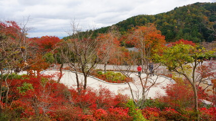 Obraz premium 勝尾寺の紅葉