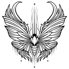 Obraz premium Hand drawn of buterfly tattoo