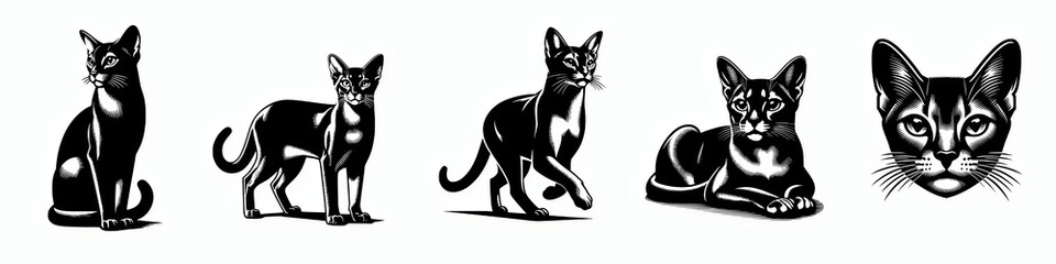 Obraz premium Set of abyssinnian cat breed silhouette vector illustration design collection 
