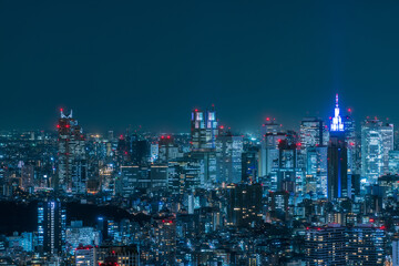 Tokyo Shinjyuku area panoramic view at night