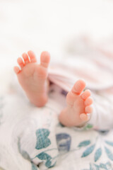 Newborn baby feet