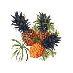 Fototapeta premium Three Pineapples with Green Leaves