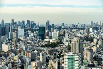 Obraz premium 高層ビルから望む東京の景観