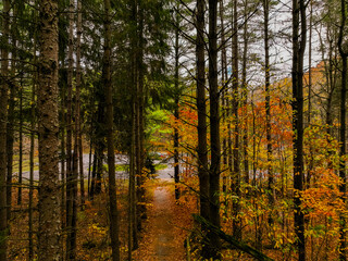 Fototapeta premium default